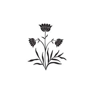 Zara Shahjahan logo